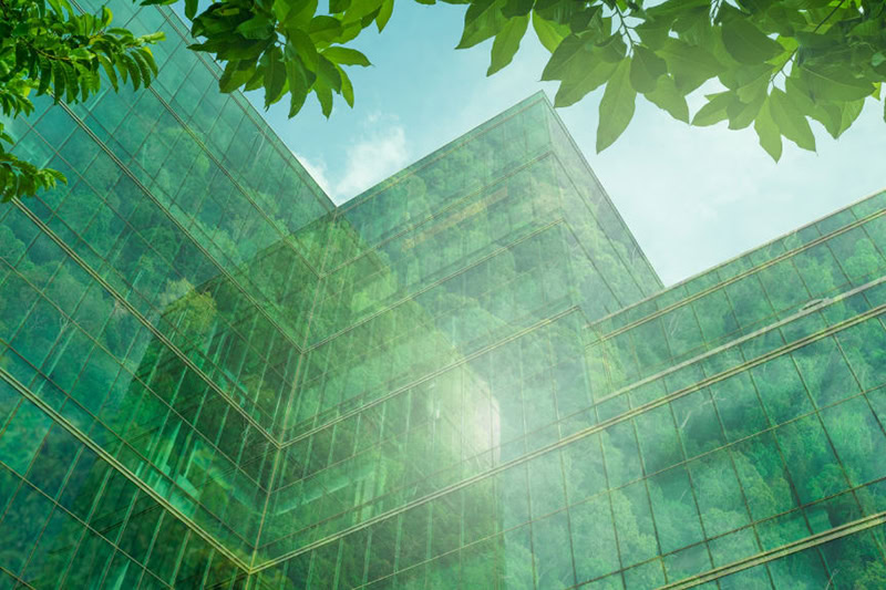 Sustainable glass office building with tree for reducing heat and carbon dioxide.